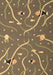 Machine Washable Abstract Brown Contemporary Rug, wshcon2391brn