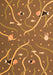 Serging Thickness of Machine Washable Abstract Orange Contemporary Area Rugs, wshcon2391org