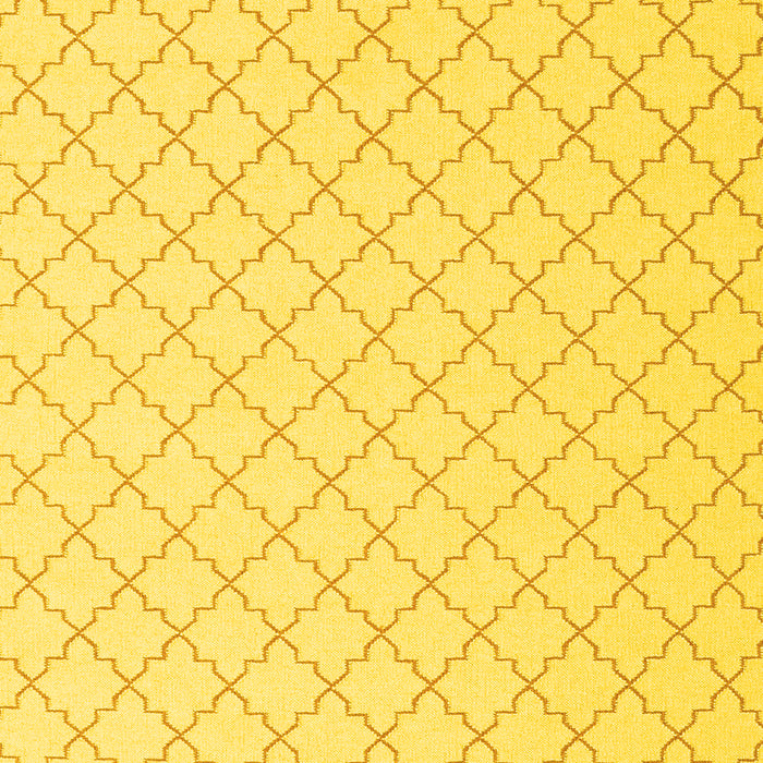 Machine Washable Terrilis Yellow Contemporary Rug, wshcon2393yw