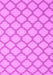 Trellis Pink Modern Rug, con2394pnk