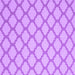 Square Machine Washable Trellis Purple Modern Area Rugs, wshcon2394pur