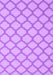 Trellis Purple Modern Rug, con2394pur