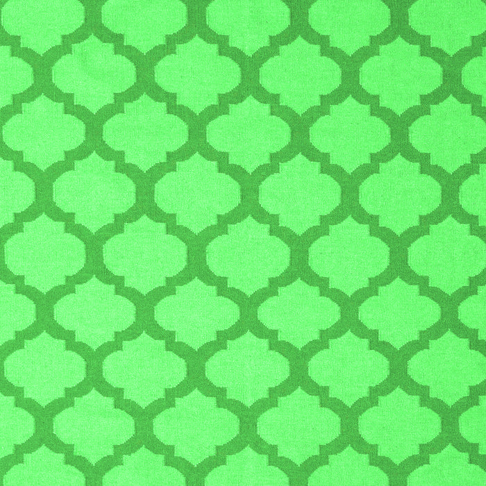 Trellis Green Modern Rug, con2394grn