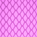 Square Trellis Pink Modern Rug, con2394pnk