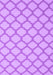 Machine Washable Trellis Purple Modern Area Rugs, wshcon2394pur