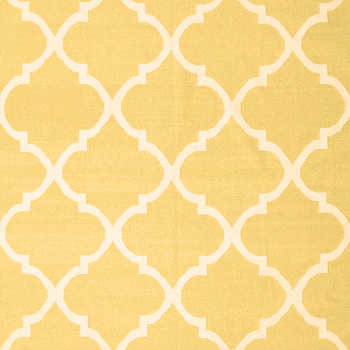 Machine Washable Trellis Brown Modern Rug, wshcon2396brn