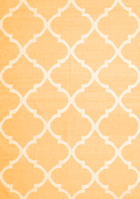 Trellis Orange Modern Rug, con2396org