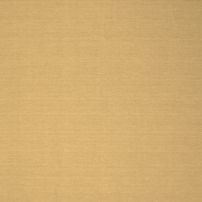 Machine Washable Solid Brown Modern Rug, wshcon239brn