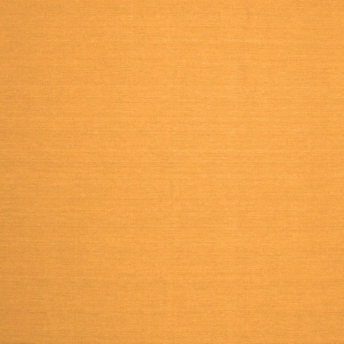 Solid Orange Modern Rug, con239org