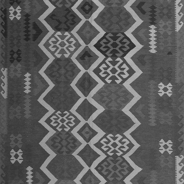 Oriental Gray Traditional Rug, con2403gry