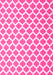 Machine Washable Trellis Pink Modern Rug, wshcon2405pnk