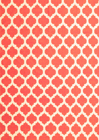 Trellis Orange Modern Rug, con2405org