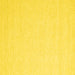 Square Solid Yellow Modern Rug, con2409yw