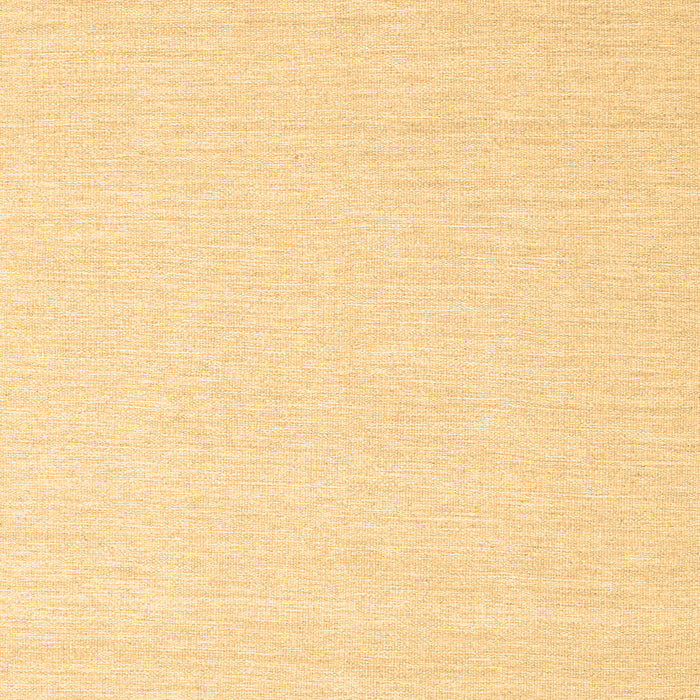 Solid Brown Modern Rug, con2409brn