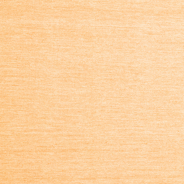 Solid Orange Modern Rug, con2409org