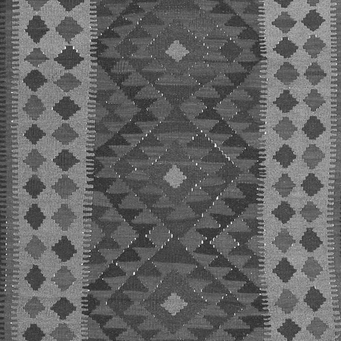 Oriental Gray Traditional Rug, con2410gry