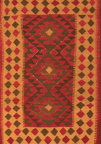 Oriental Orange Traditional Rug, con2410org