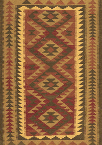 Oriental Brown Traditional Rug, con2412brn