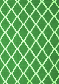 Trellis Green Modern Rug, con2418grn