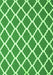 Trellis Green Modern Rug, con2418grn