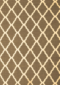 Trellis Brown Modern Rug, con2418brn