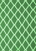 Machine Washable Trellis Emerald Green Modern Area Rugs, wshcon2418emgrn