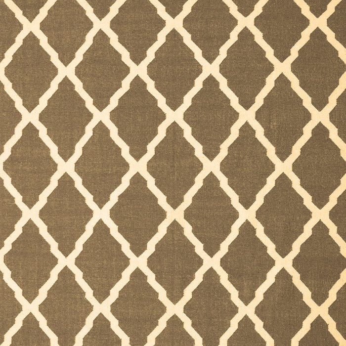 Machine Washable Trellis Brown Modern Rug, wshcon2418brn