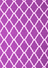 Trellis Pink Modern Rug, con2418pnk