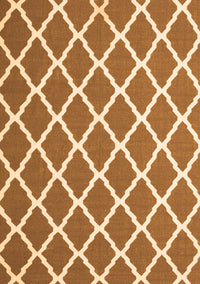 Trellis Orange Modern Rug, con2418org