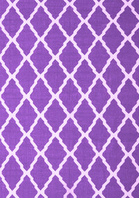 Trellis Purple Modern Rug, con2418pur