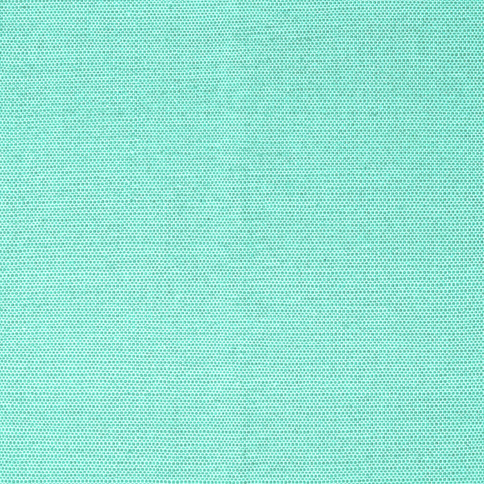 Solid Turquoise Modern Rug, con2419turq