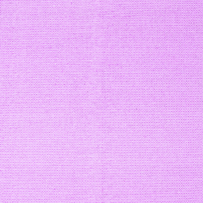 Solid Purple Modern Rug, con2419pur