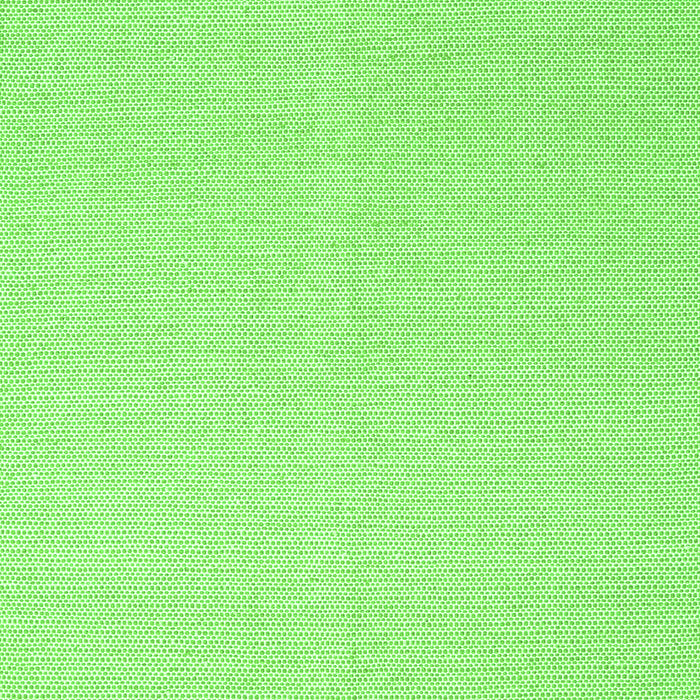 Solid Green Modern Rug, con2419grn