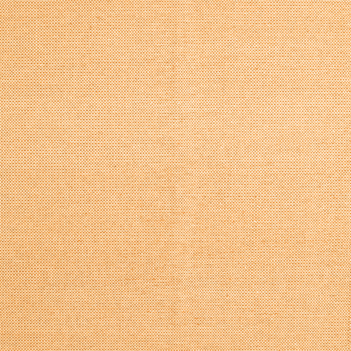 Round Machine Washable Solid Orange Modern Area Rugs, wshcon2419org