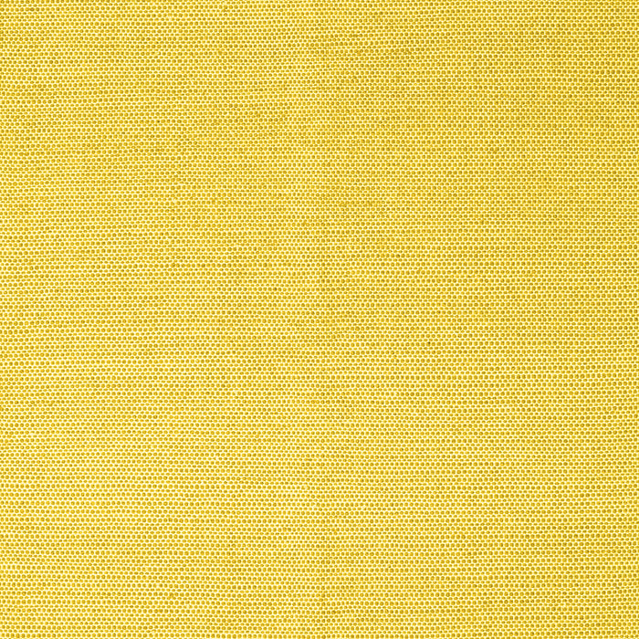 Solid Yellow Modern Rug, con2419yw