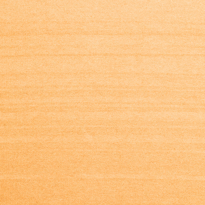 Solid Orange Modern Rug, con2422org