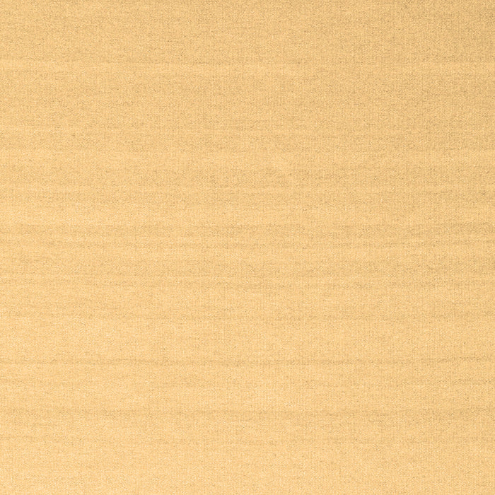 Solid Brown Modern Rug, con2422brn