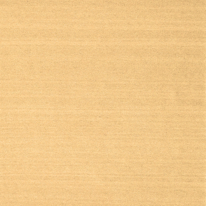 Machine Washable Solid Brown Modern Rug, wshcon2423brn