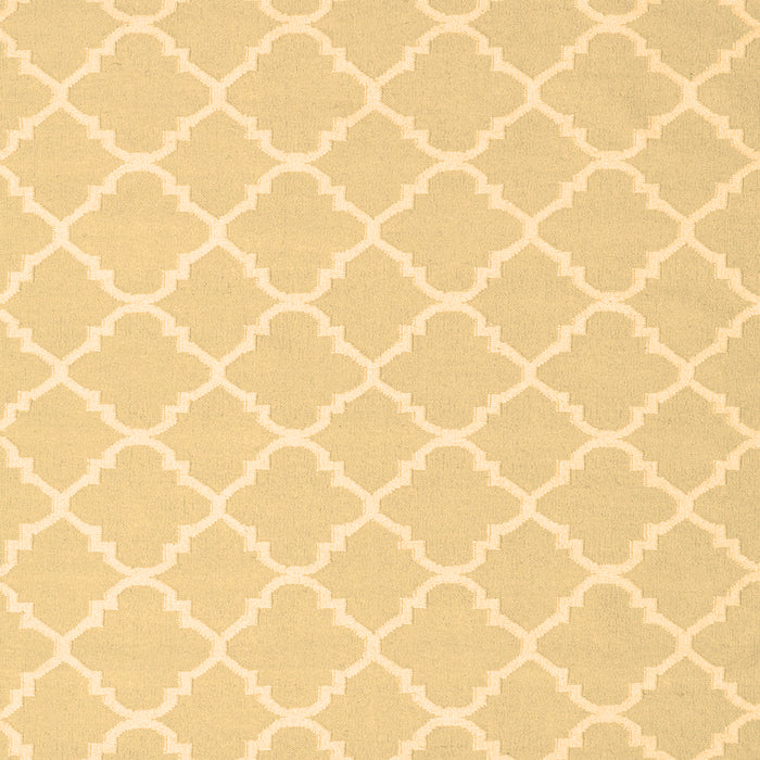 Machine Washable Trellis Brown Modern Rug, wshcon2427brn