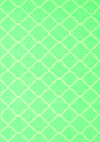 Trellis Green Modern Rug, con2427grn