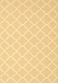 Trellis Brown Modern Rug, con2427brn