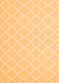 Trellis Orange Modern Rug, con2427org