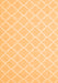 Trellis Orange Modern Rug, con2427org