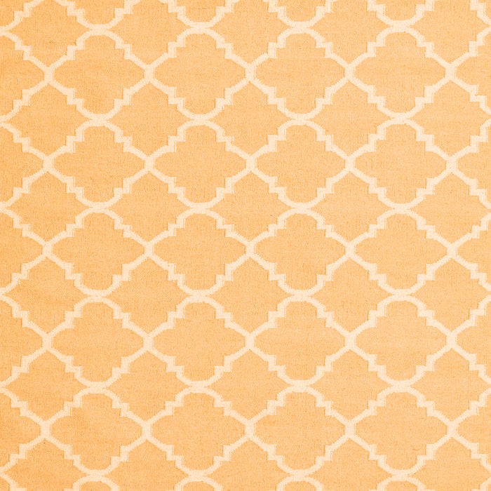 Trellis Orange Modern Rug, con2427org
