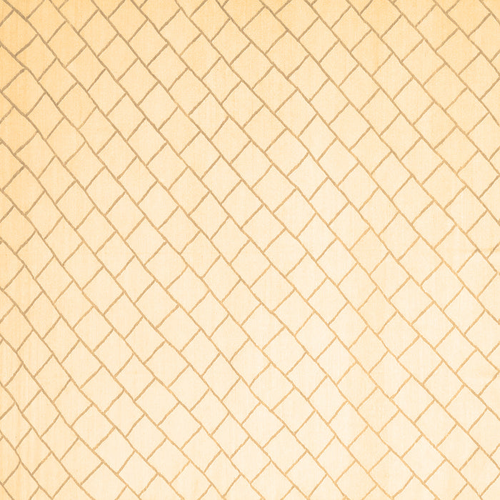 Square Machine Washable Solid Brown Modern Rug, wshcon2431brn