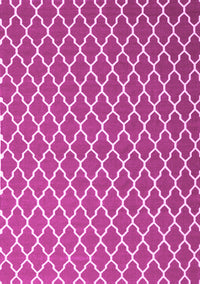 Trellis Pink Modern Rug, con2435pnk