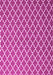 Machine Washable Trellis Pink Modern Rug, wshcon2435pnk