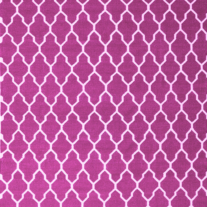 Machine Washable Trellis Pink Modern Rug, wshcon2435pnk