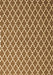 Machine Washable Trellis Brown Modern Rug, wshcon2435brn