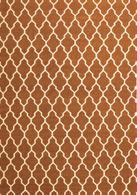 Trellis Orange Modern Rug, con2435org